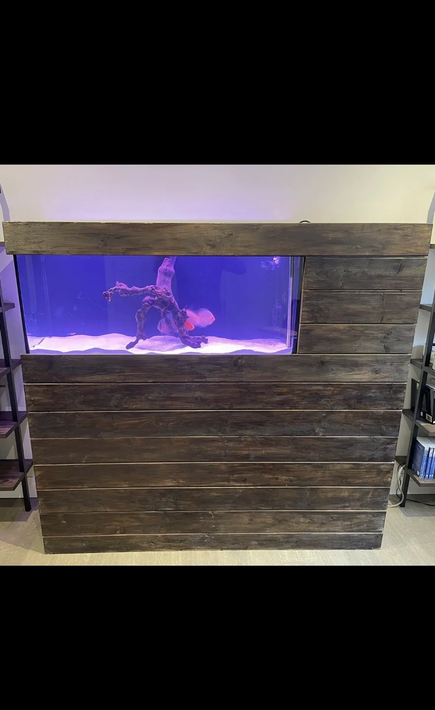 Custom-built aquarium stand with Fluval FX6 filter image indicator(7)