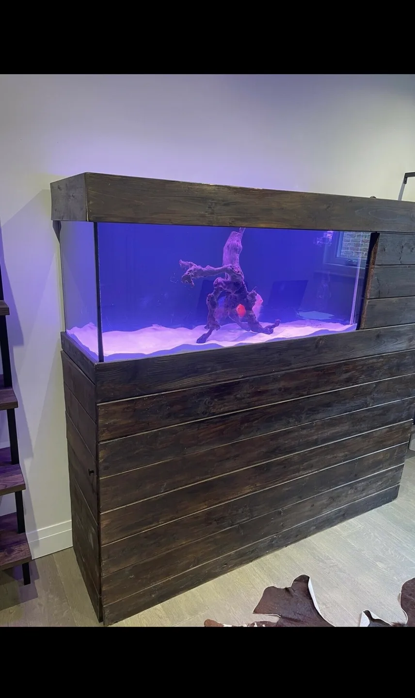 Custom-built aquarium stand with Fluval FX6 filter image indicator(2)