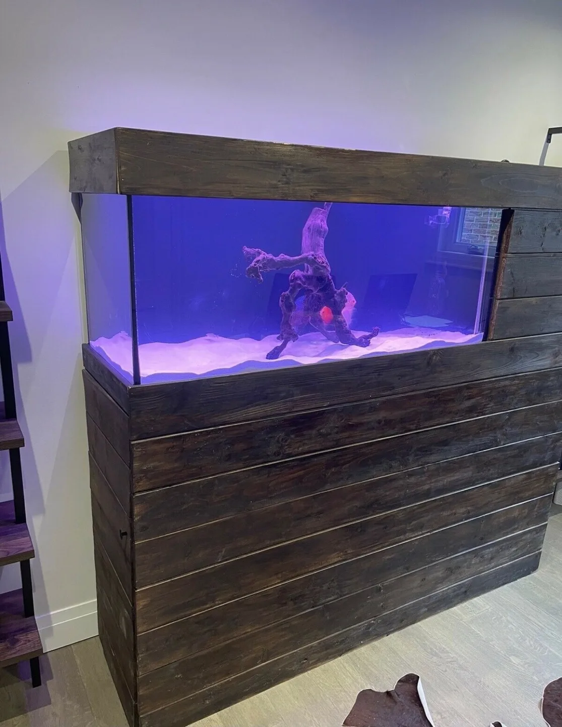 Custom-built aquarium stand with Fluval FX6 filter image indicator(9)
