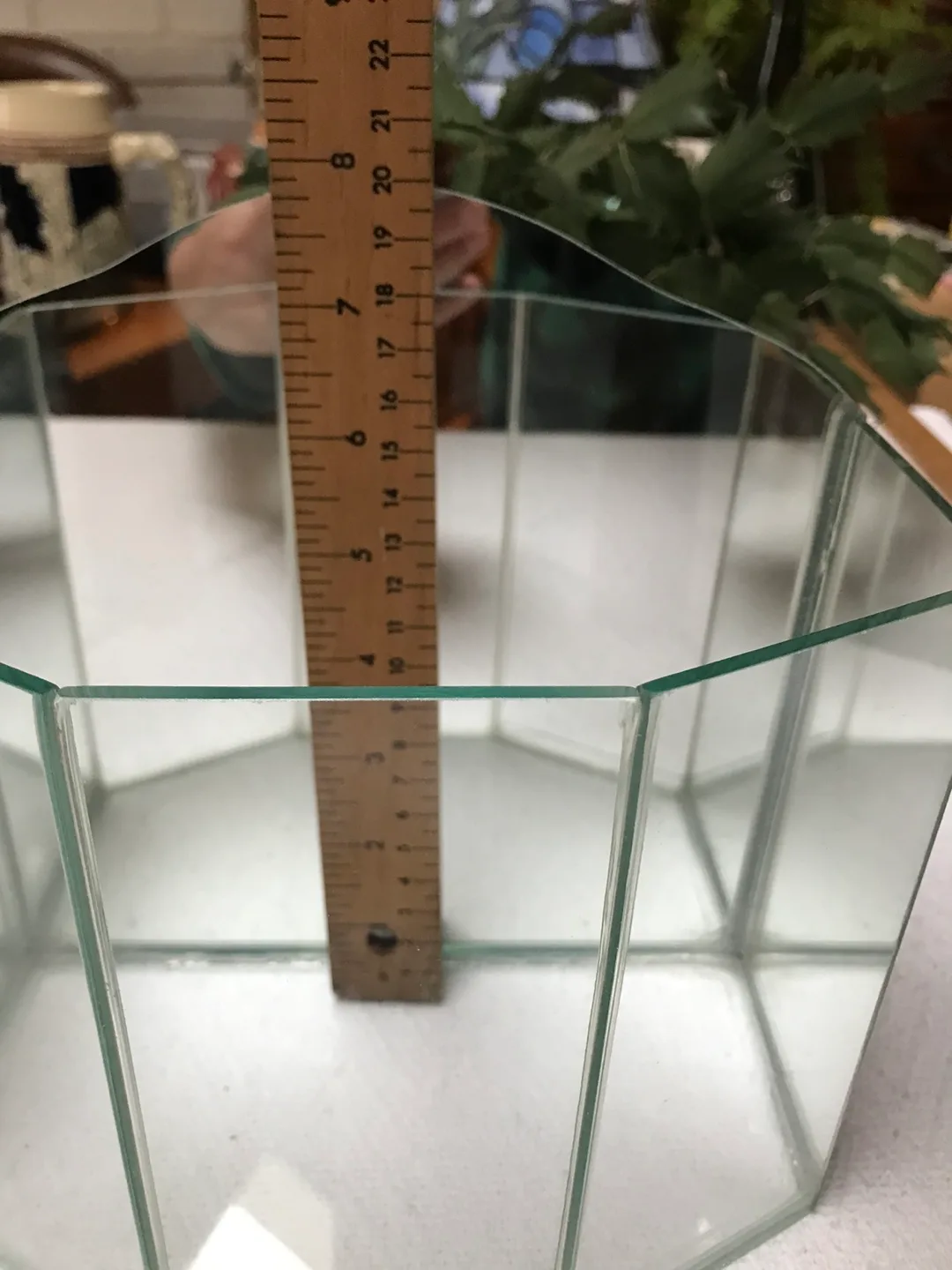 Octagonal Glass Terrarium image indicator(3)