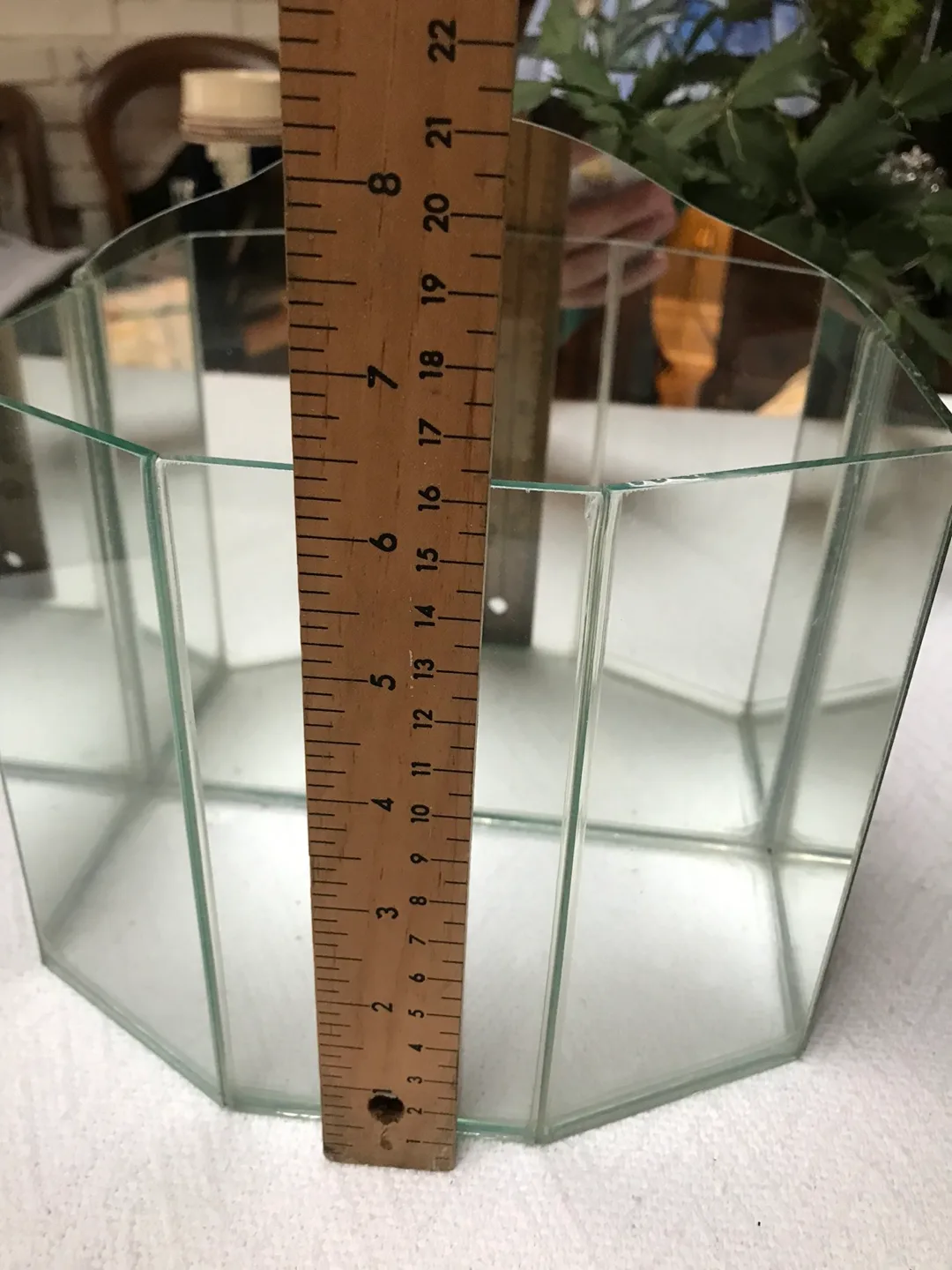 Octagonal Glass Terrarium image indicator(2)
