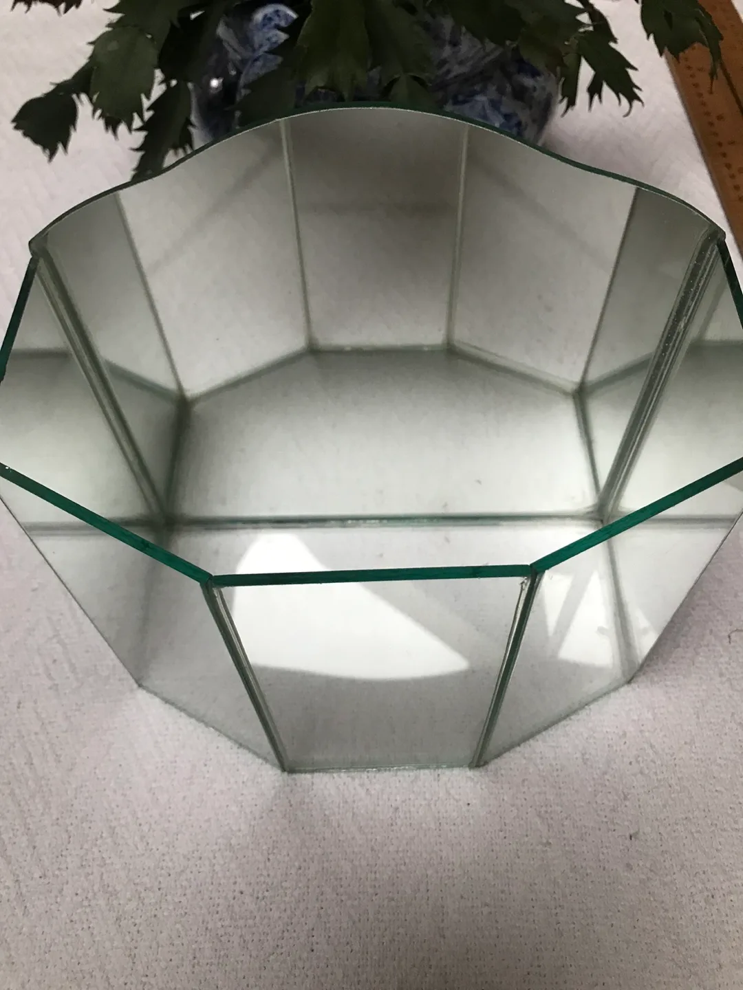 Octagonal Glass Terrarium image indicator(8)