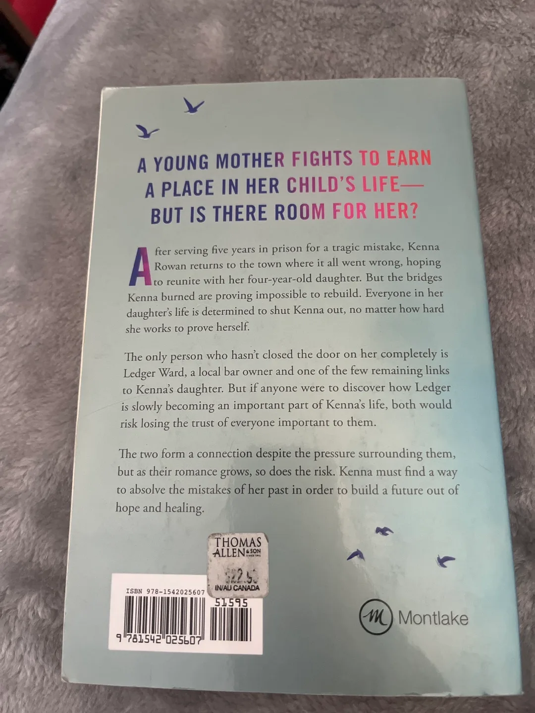 Reminders of Him by Colleen Hoover Paperback Novel image indicator(2)