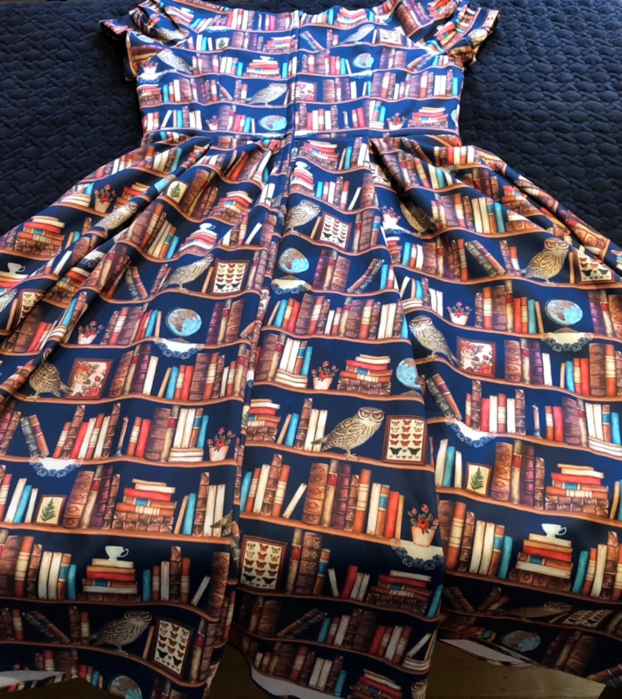 Dolly and Dotty Bookish Owl Print Dress Size 8 image indicator(3)