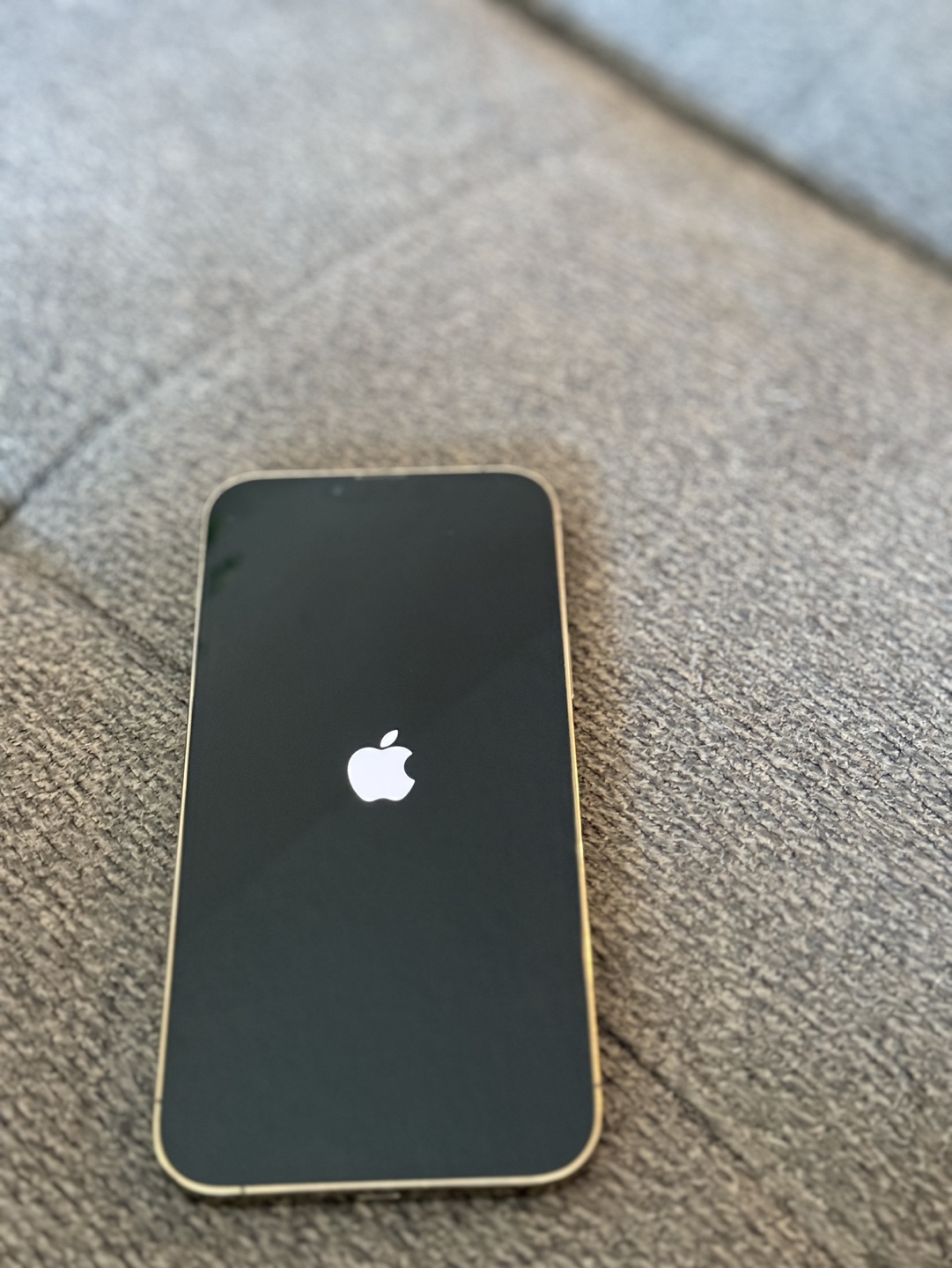 iPhone 13 Pro Max - photo 5