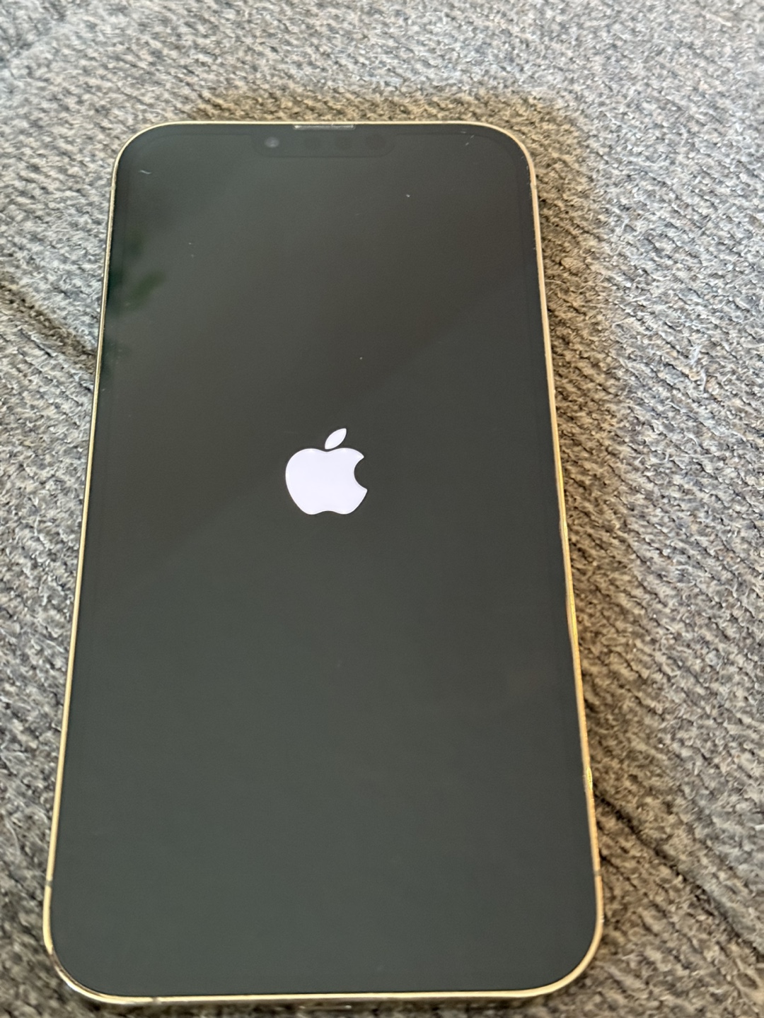 iPhone 13 Pro Max - photo 3