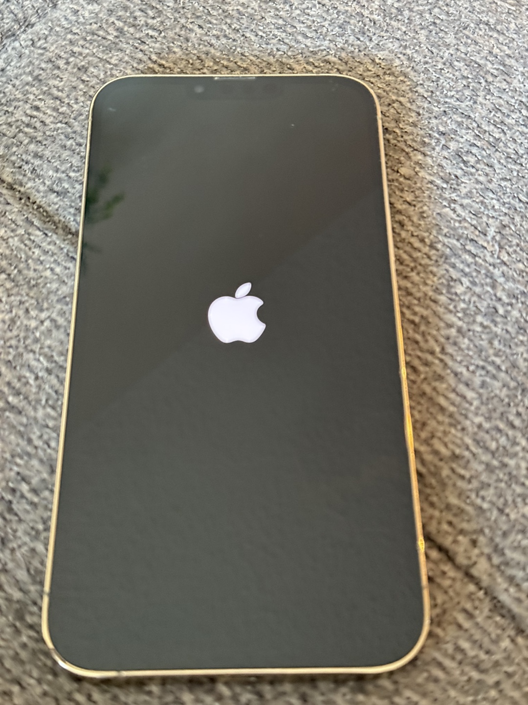 iPhone 13 Pro Max - photo 4
