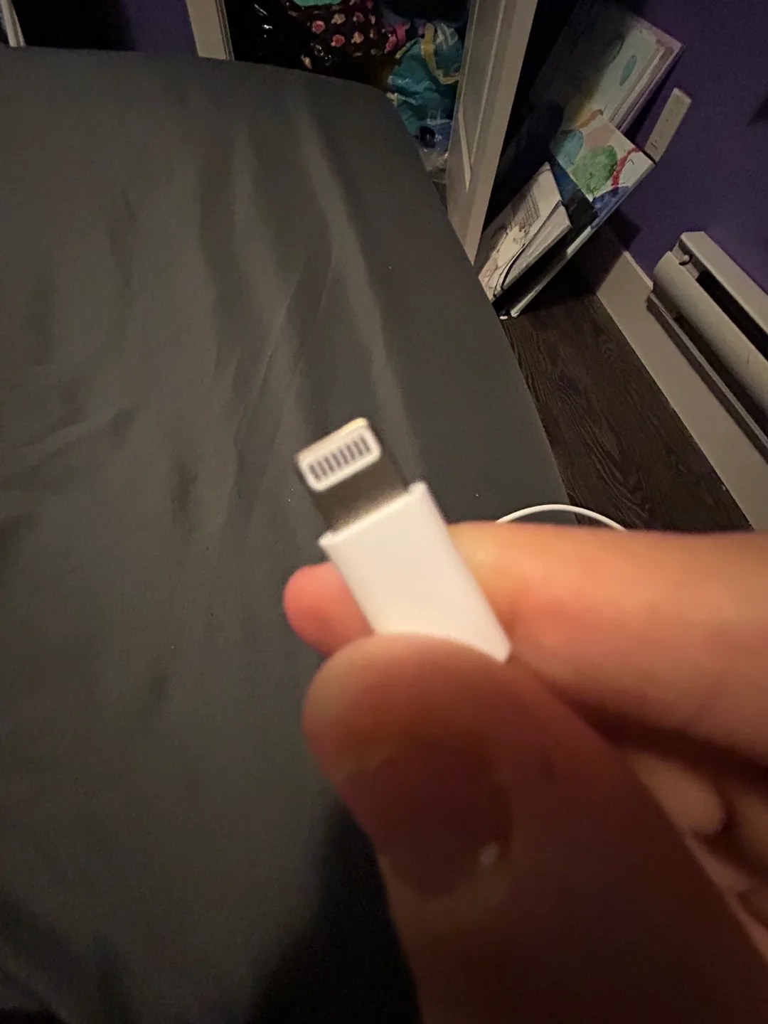 USB-C to Lightning Cable image indicator(2)