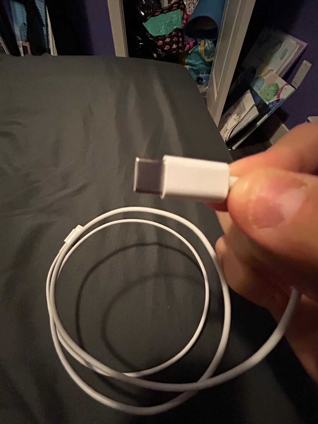 USB-C to Lightning Cable image indicator(3)