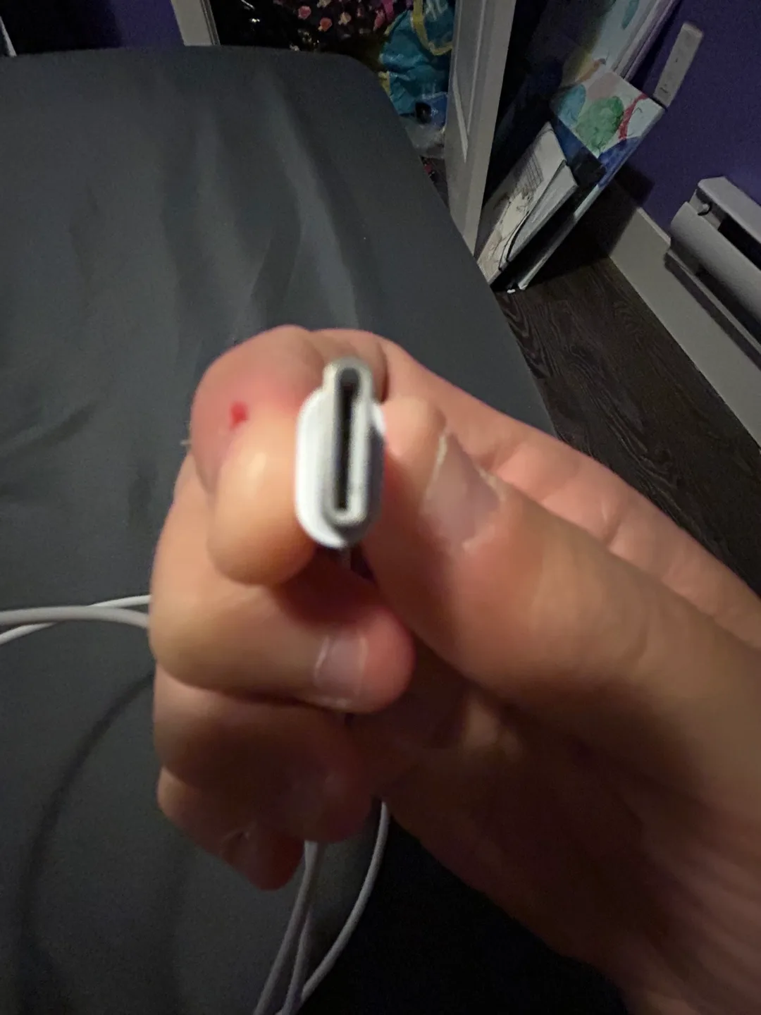 USB-C to Lightning Cable image indicator(4)