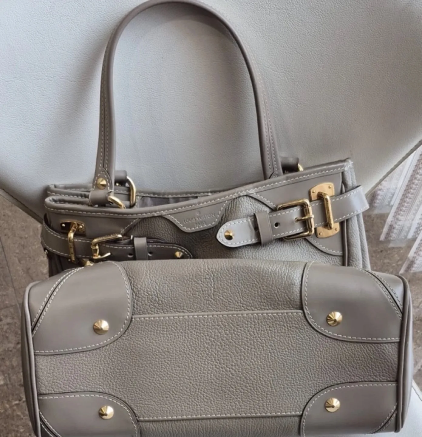 Louis Vuitton Taurillon Leather  Bag image indicator(3)