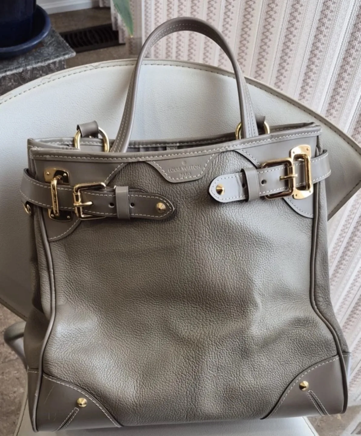 Louis Vuitton Taurillon Leather  Bag image indicator(2)