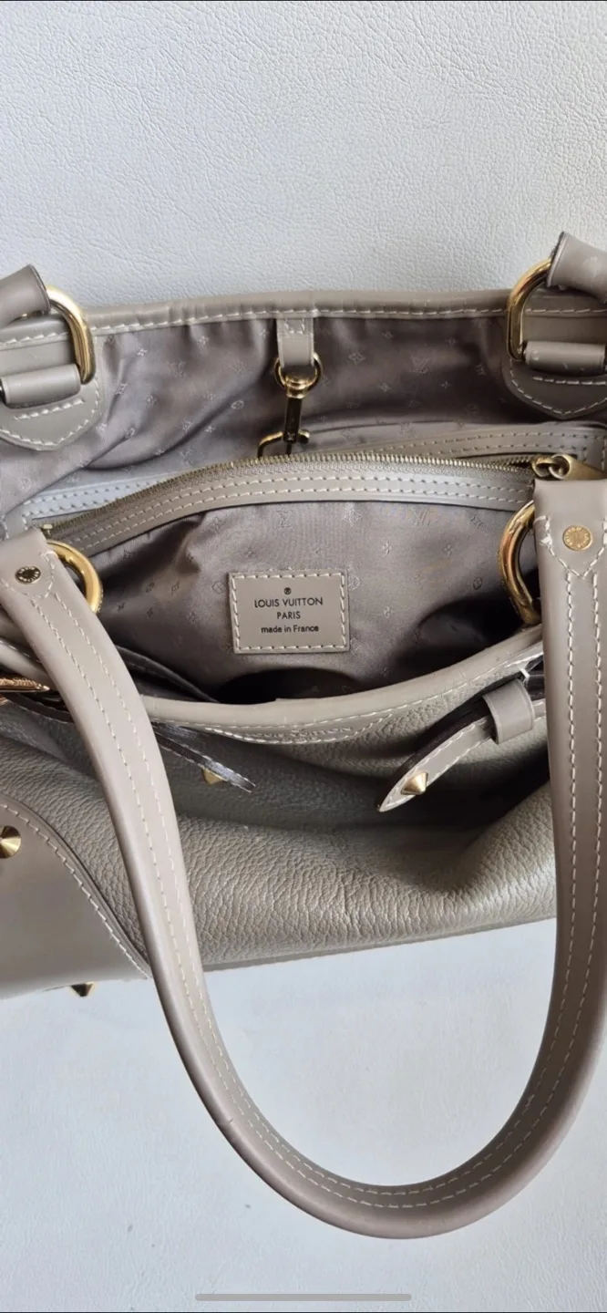 Louis Vuitton Taurillon Leather  Bag image indicator(4)