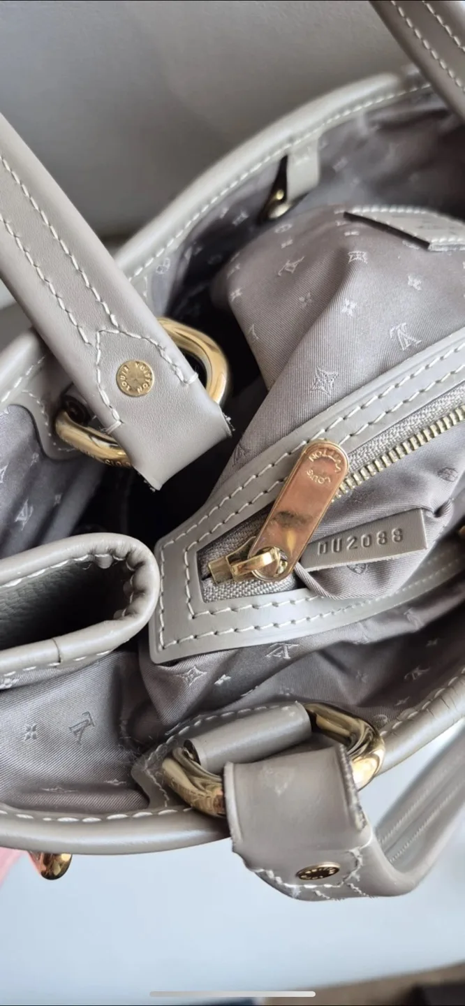 Louis Vuitton Taurillon Leather  Bag image indicator(6)