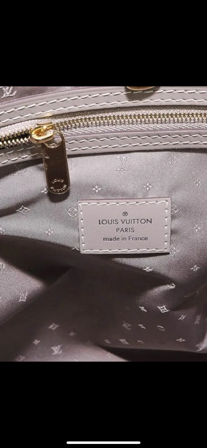 Louis Vuitton Taurillon Leather  Bag image indicator(5)