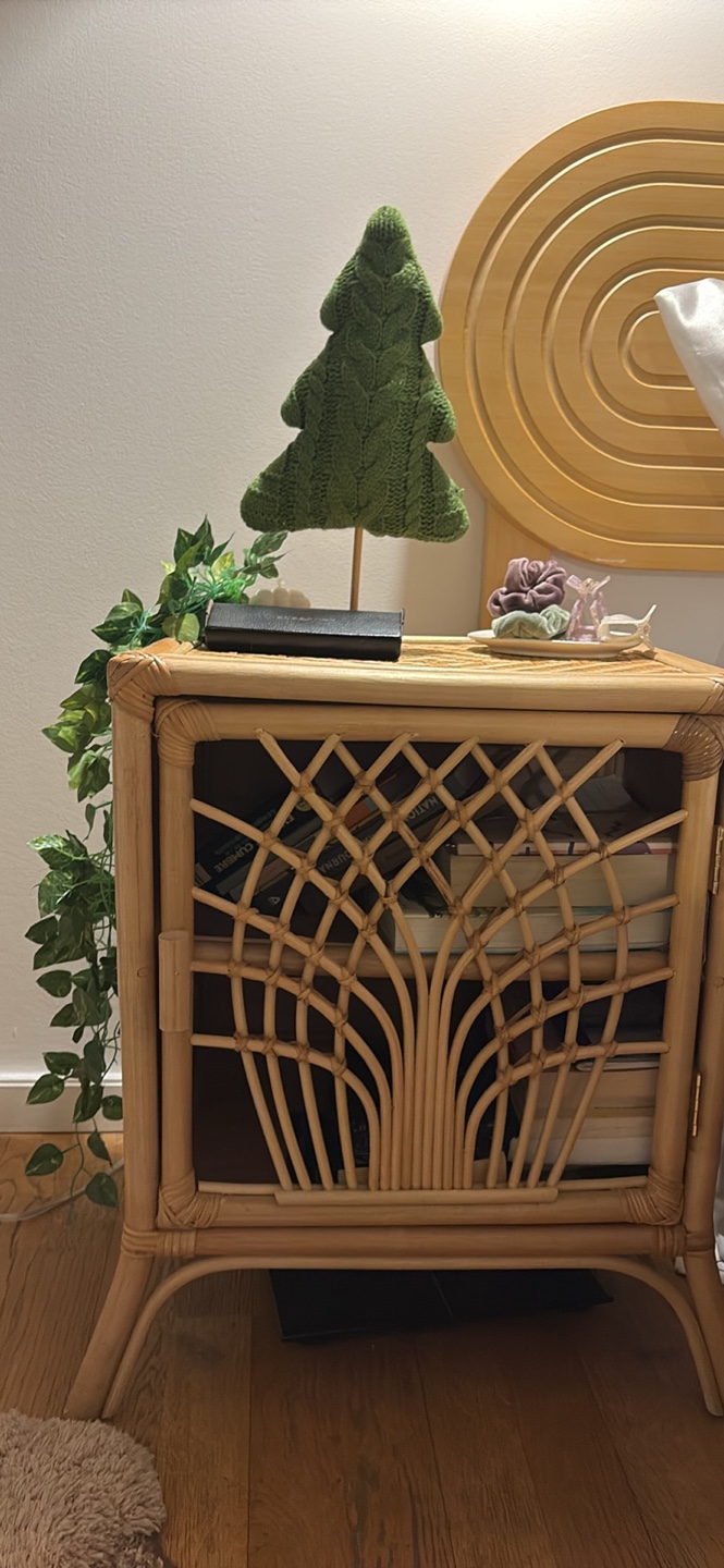 Rattan Cabinet with Door and Shelf - photo 2
