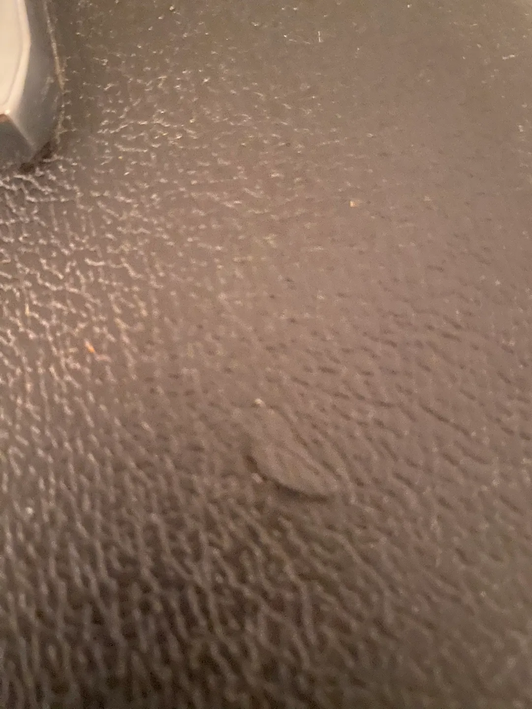 Peavey Bass Mate 25 Amplifier image indicator(3)