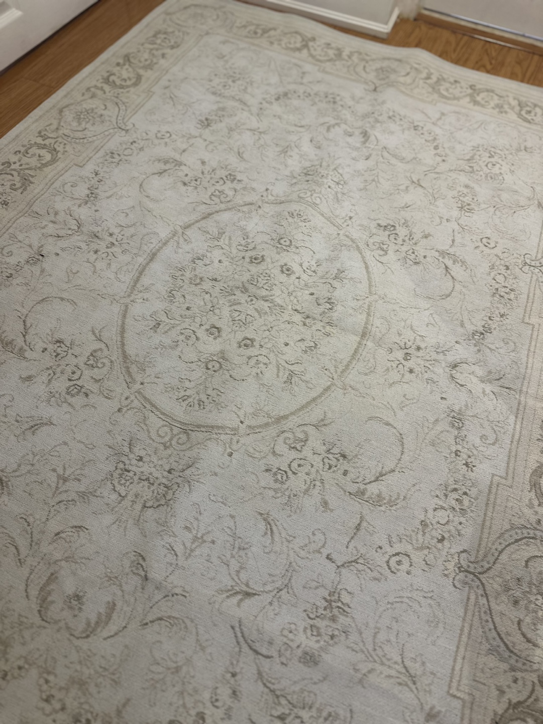Laura Ashley Home Area Rug - photo 2