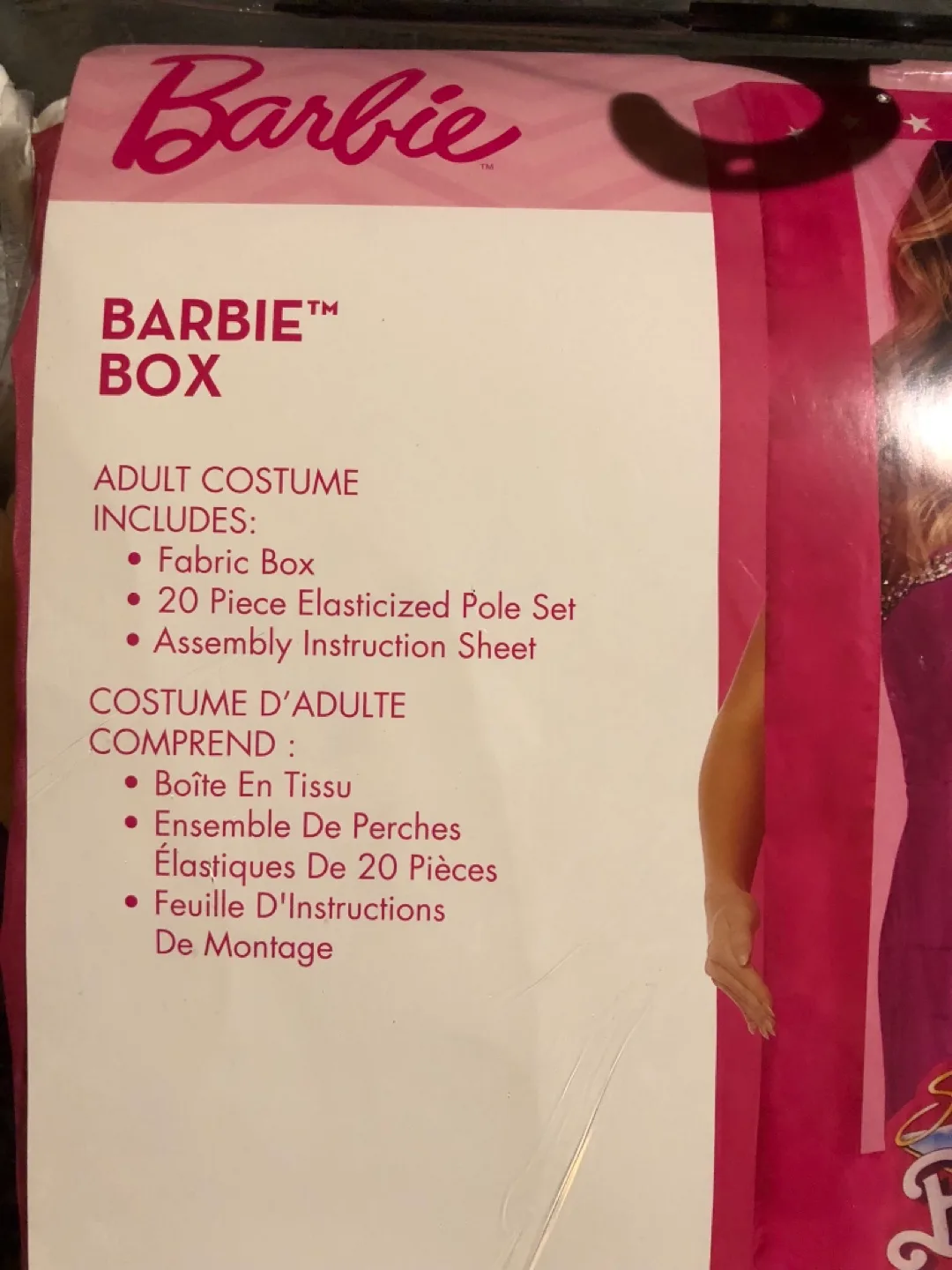 Barbie Box Costume image indicator(2)