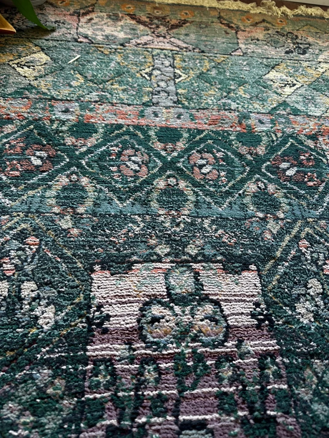 Area Rug, 5x7 image indicator(5)