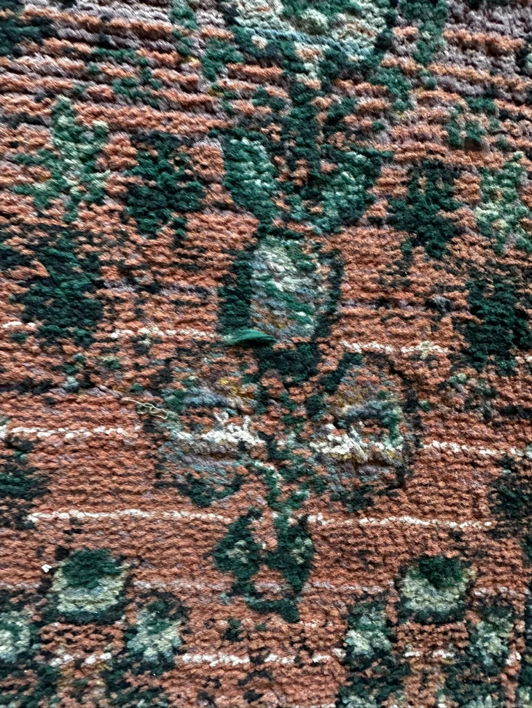 Area Rug, 5x7 image indicator(4)