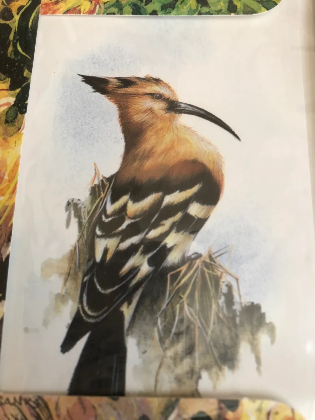 20 African Wildlife Notelets -  From Zimbabwe • 1990’s image indicator(3)