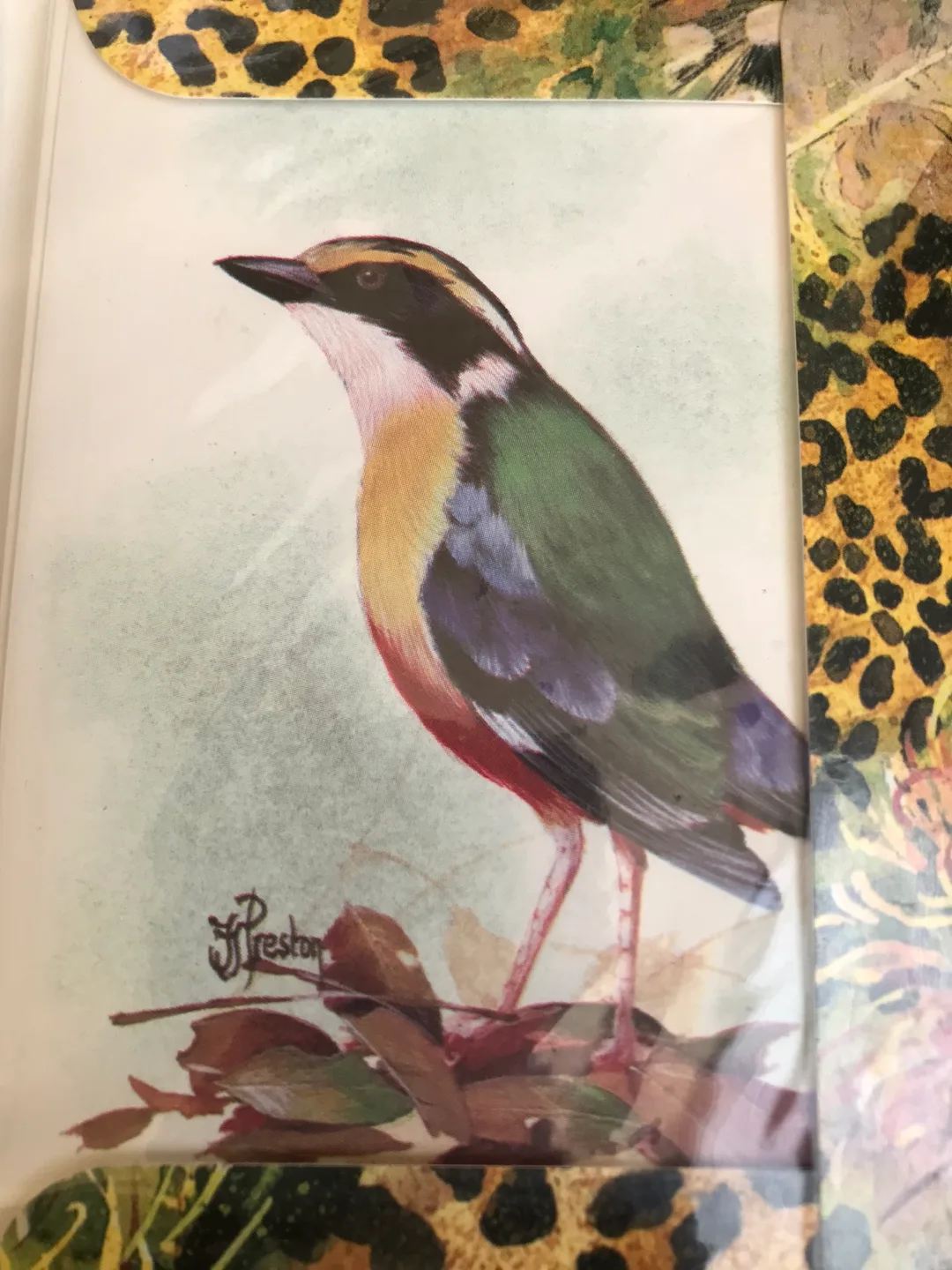 20 African Wildlife Notelets -  From Zimbabwe • 1990’s image indicator(5)