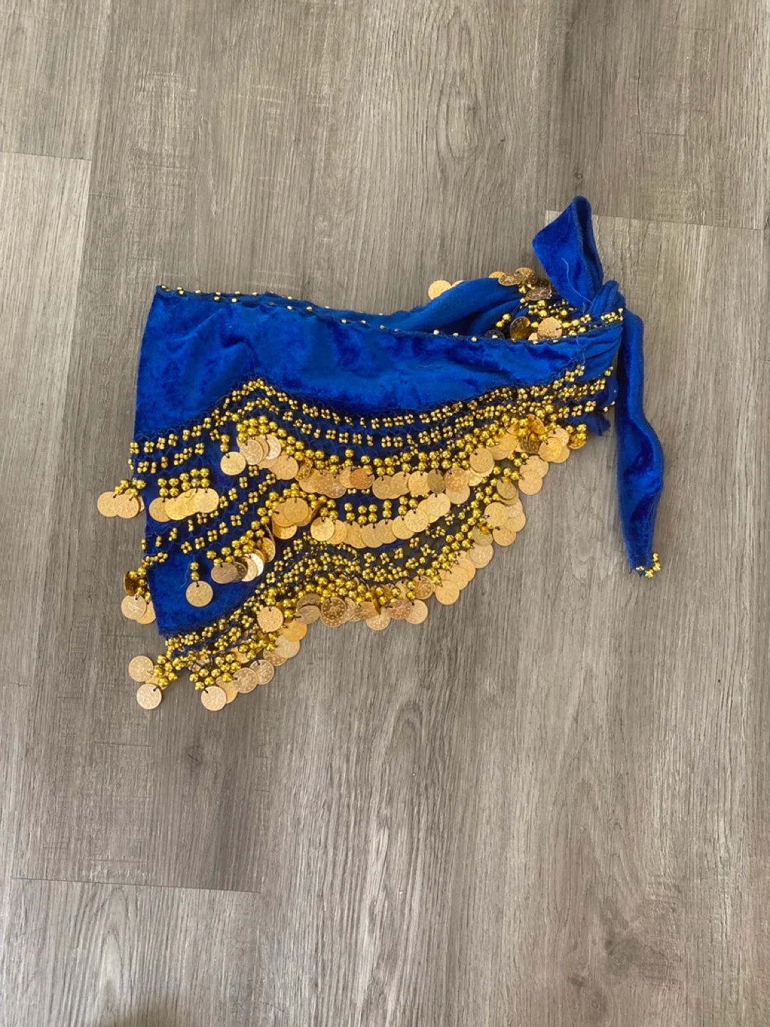 Belly Dance Hip Scarf - Blue Velvet with Gold Coins image indicator(2)