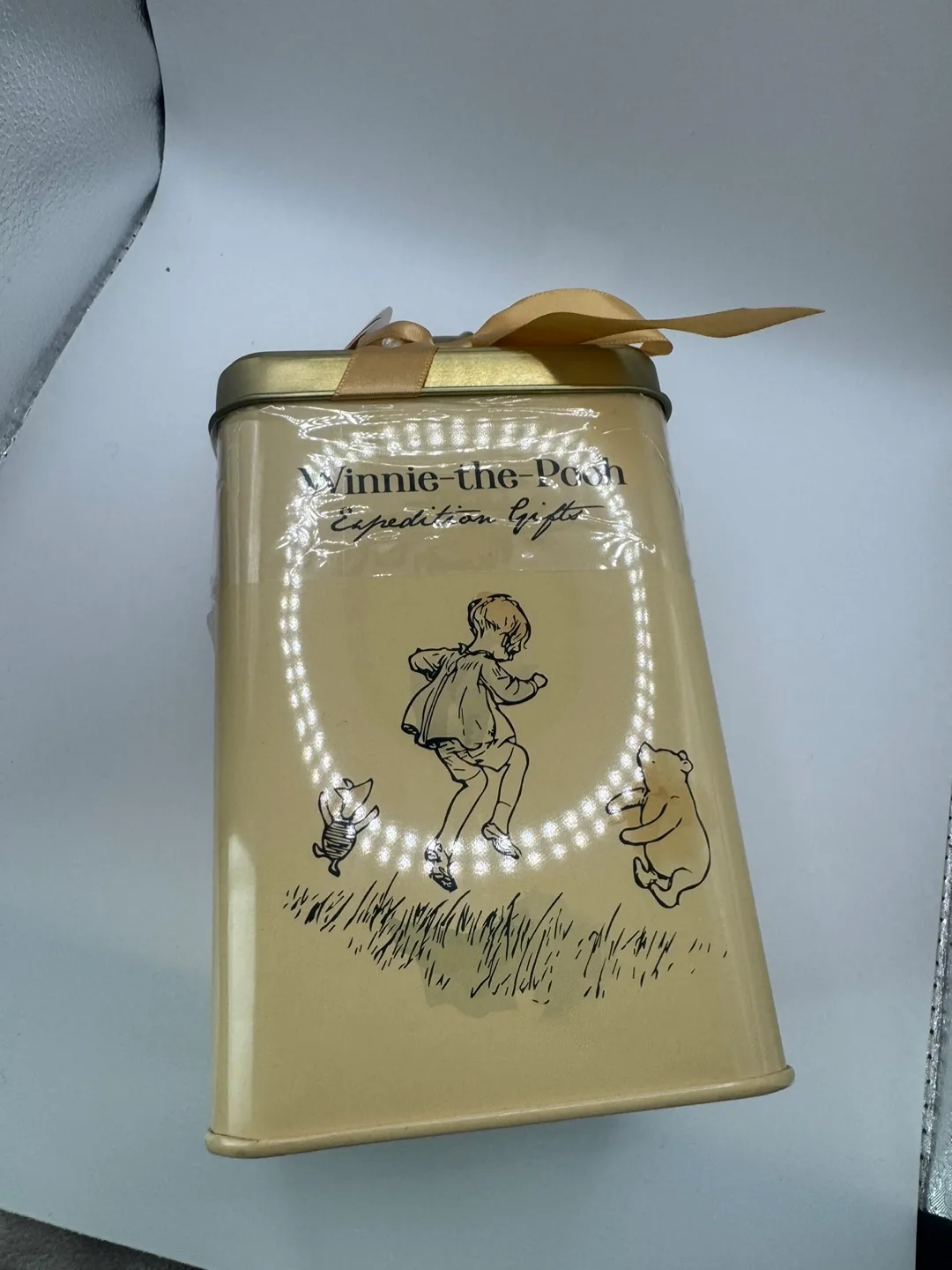 Winnie-the-Pooh Expedition Gifts Tea Tin image indicator(6)