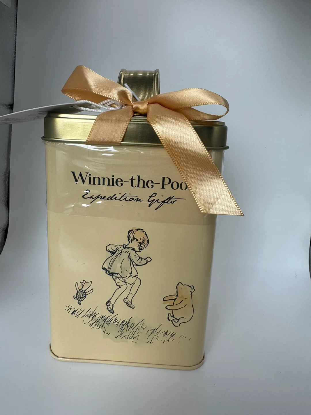 Winnie-the-Pooh Expedition Gifts Tea Tin image indicator(4)