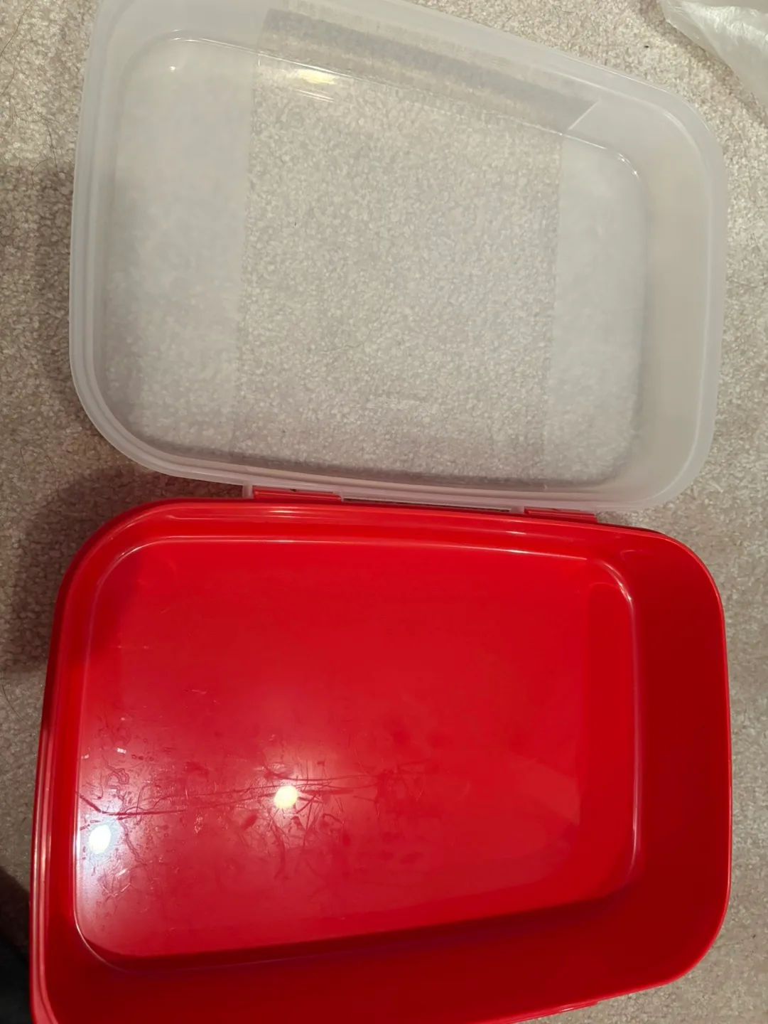 Brand new Tupperware Red modular Storage Container image indicator(2)