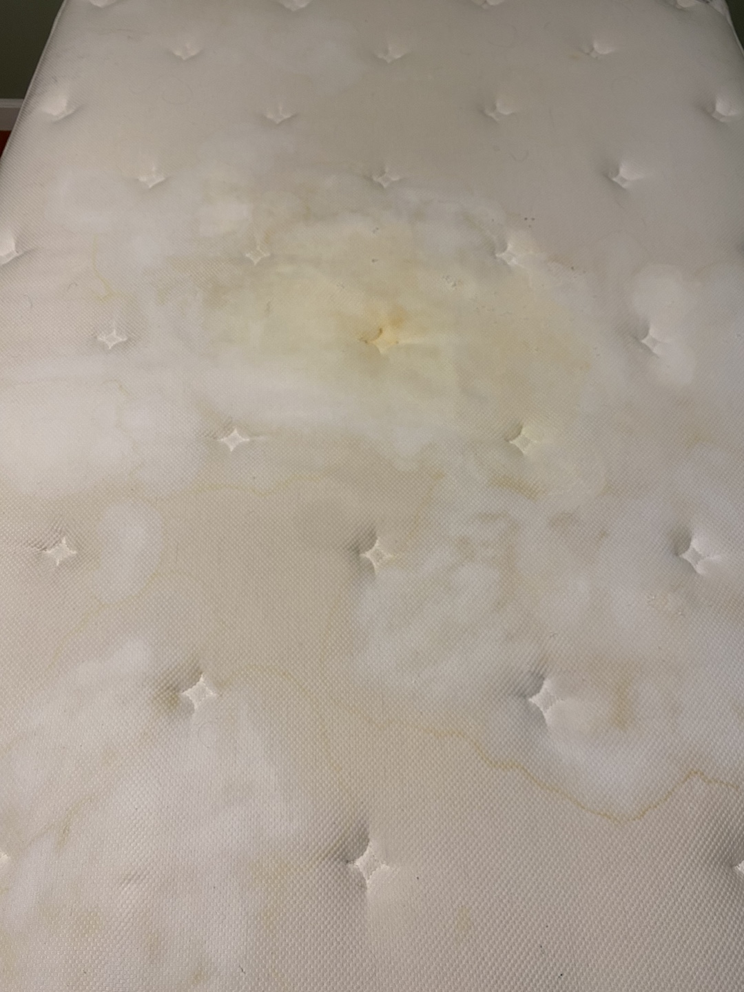 FREE box spring and FREE x2 Queen size mattresses - photo 4