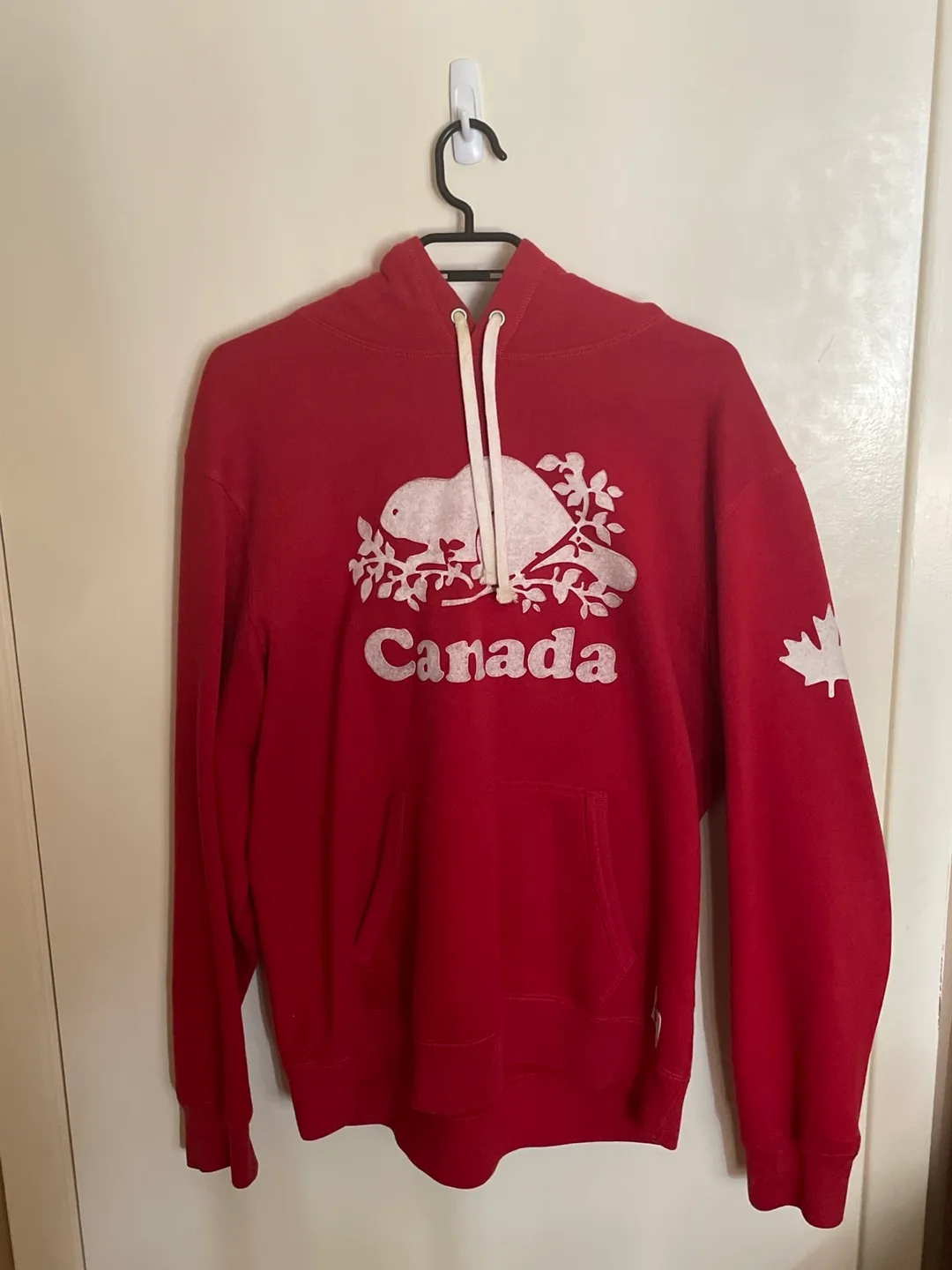 Roots Hoodie thumbnail