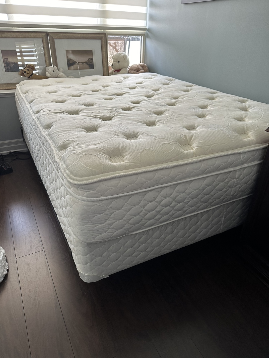 Queen Mattress and Box Spring Set