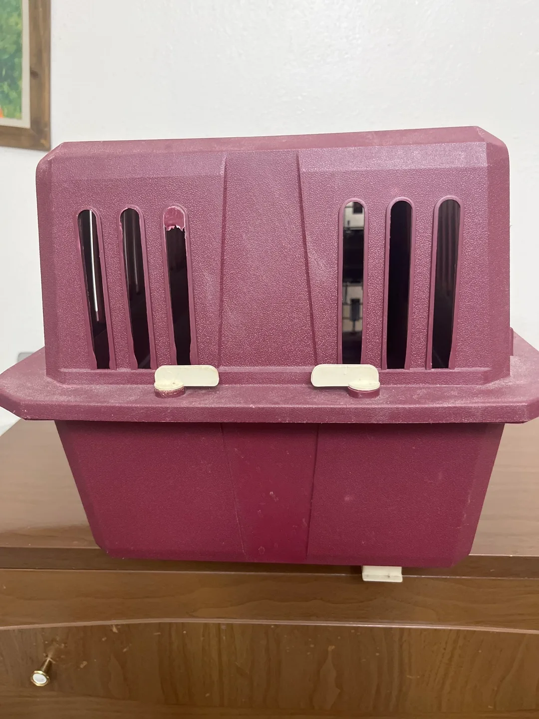 Used Pet Carrier image indicator(3)