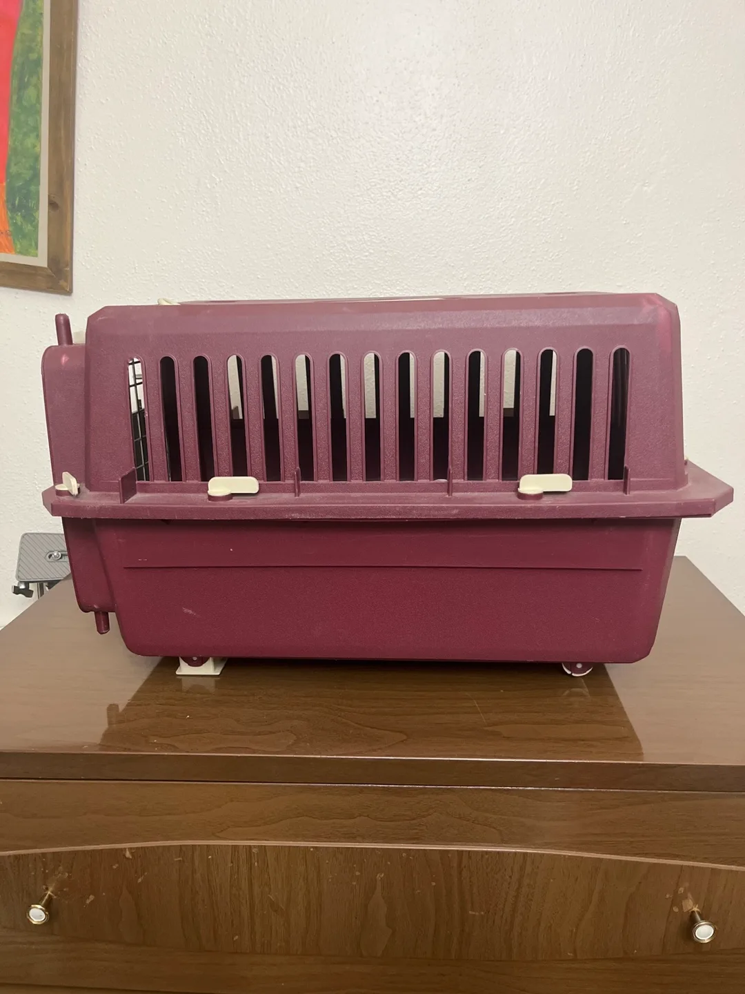 Used Pet Carrier image indicator(2)