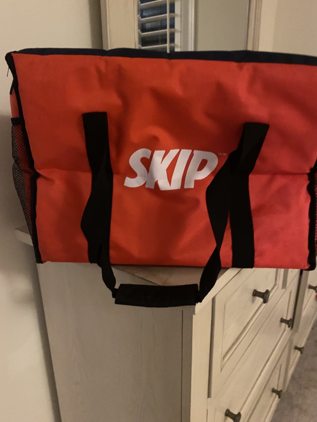 SkipTheDishes Insulated Delivery Bag