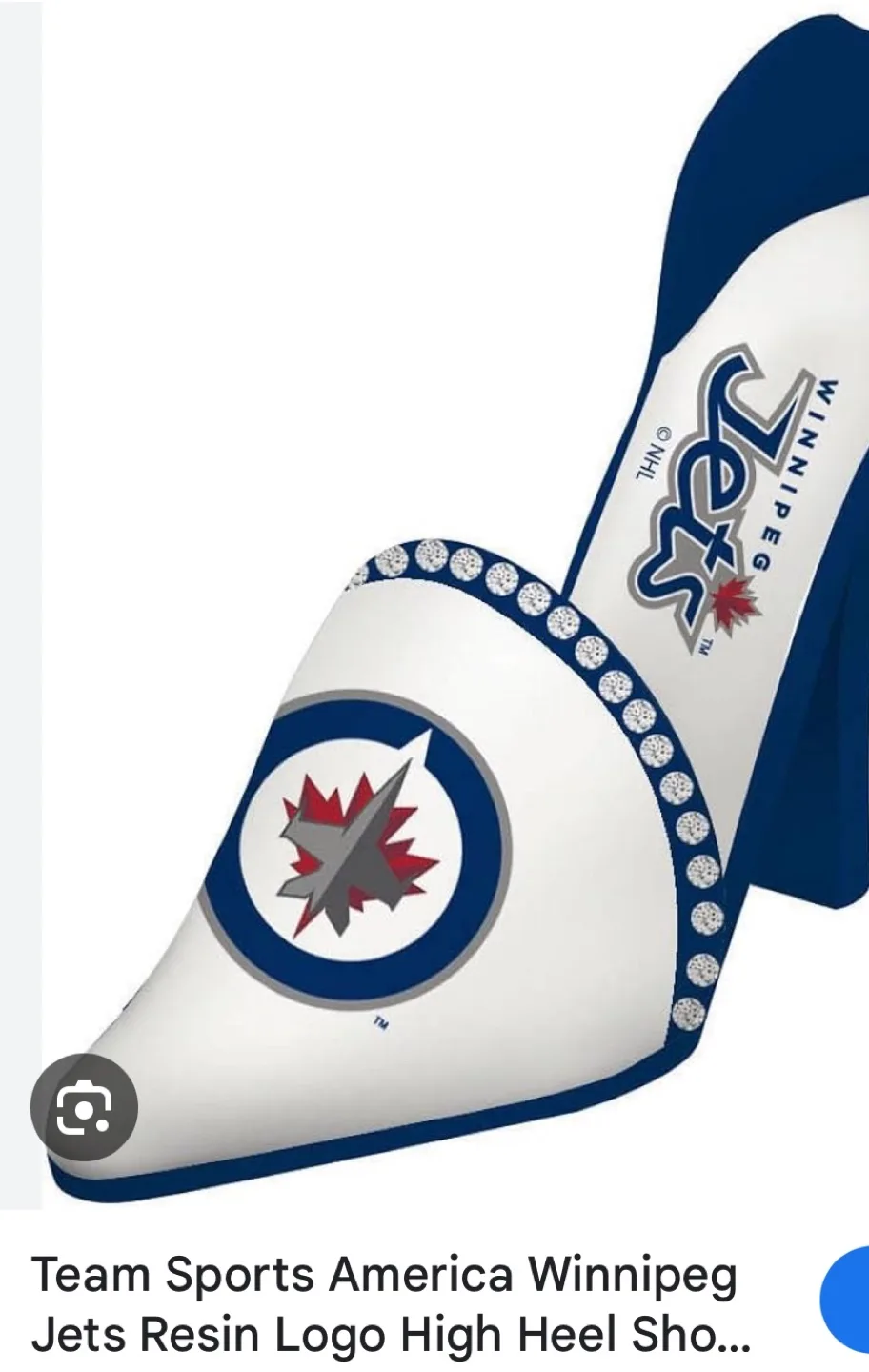 Winnipeg Jets NHL Team Spirit Bottle Holder Shoe image indicator(9)