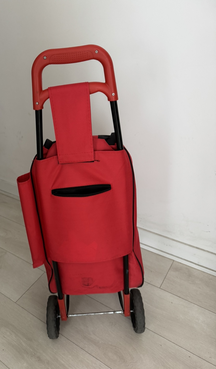 Red Shopping Cart - photo 2