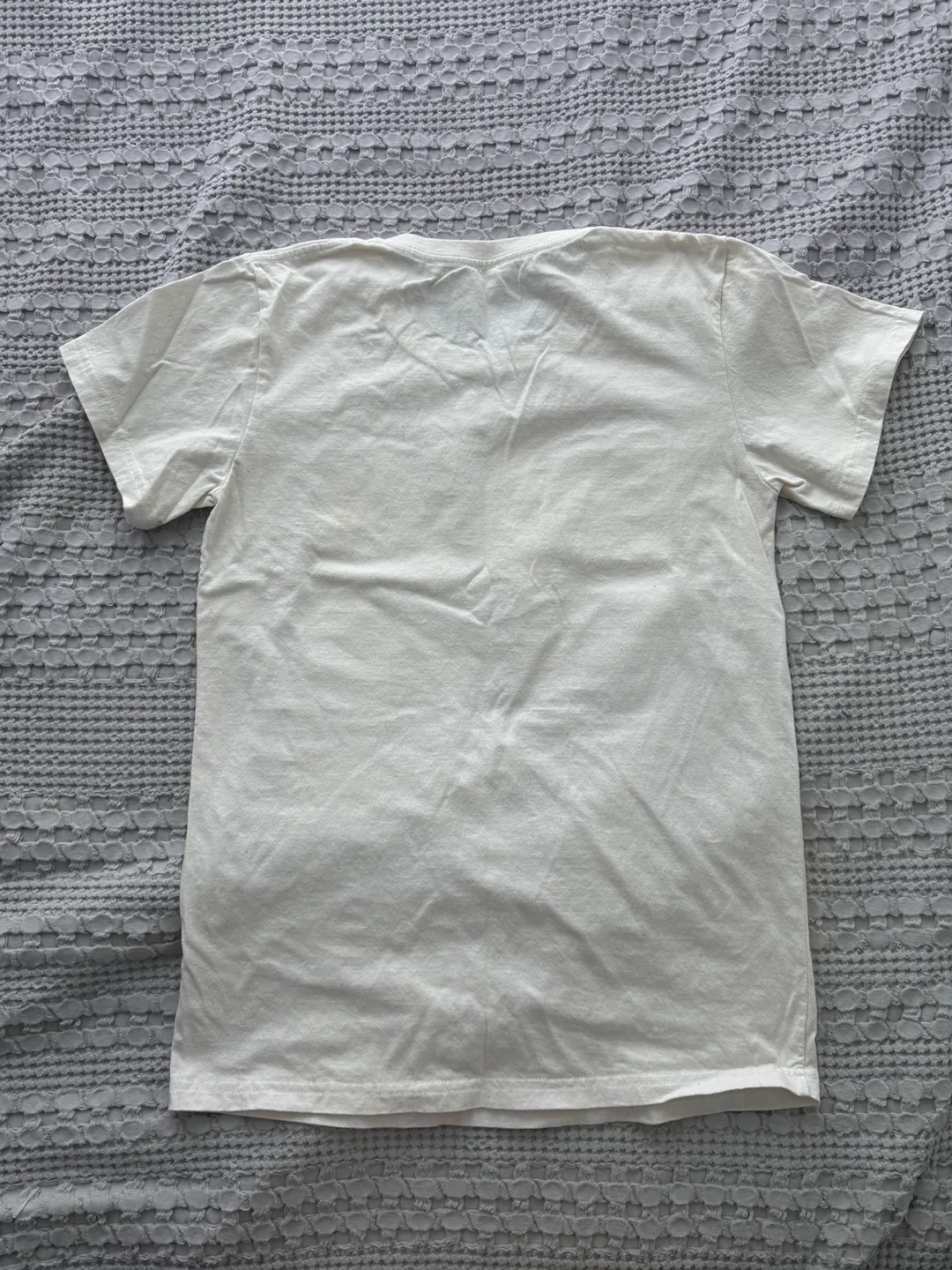 Truly Hard Seltzer x Annette T-Shirt - Size Small image indicator(4)