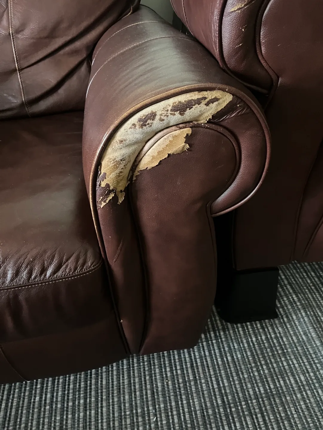 FREE Couch and Chair image indicator(7)