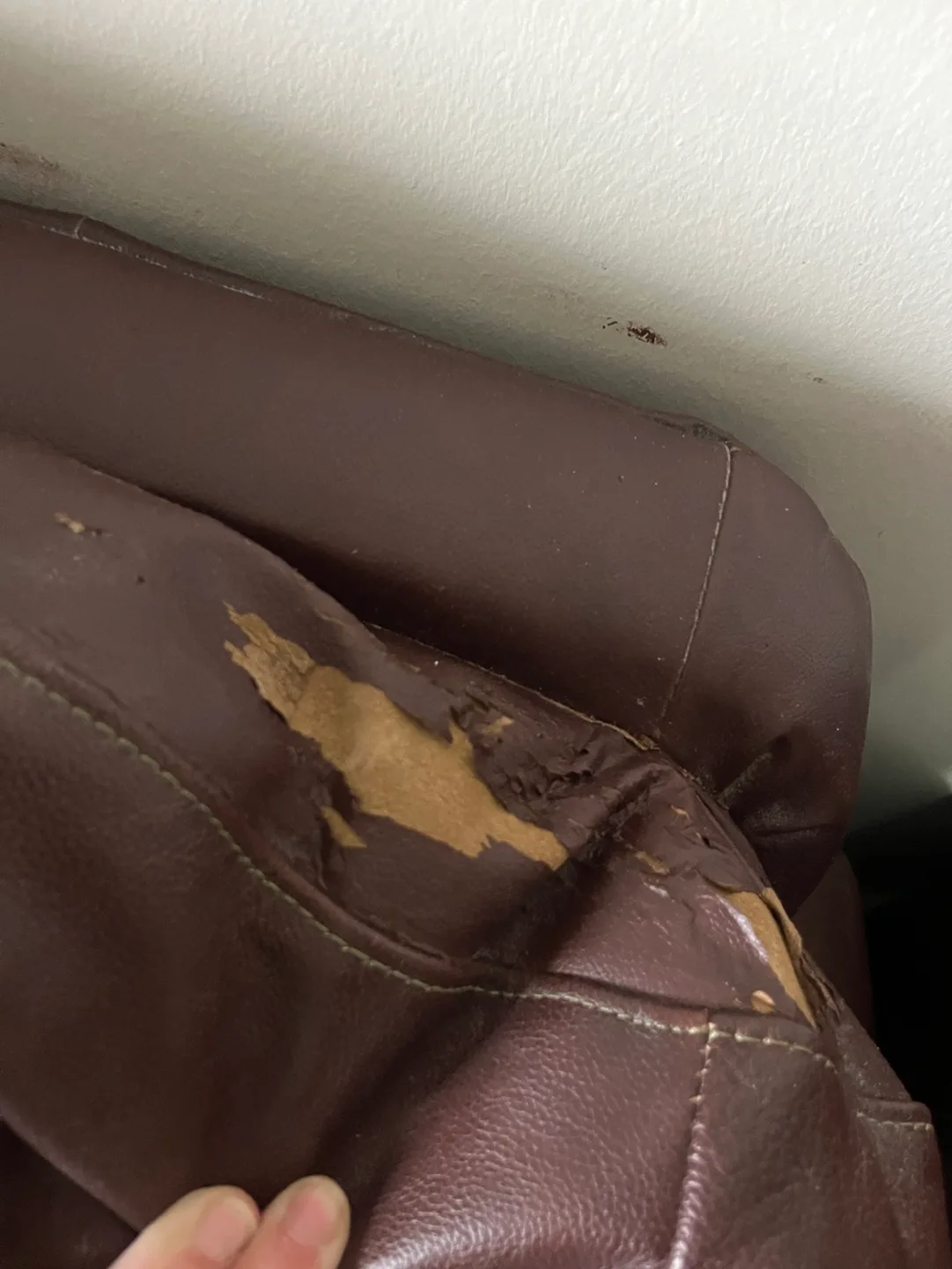 FREE Couch and Chair image indicator(8)