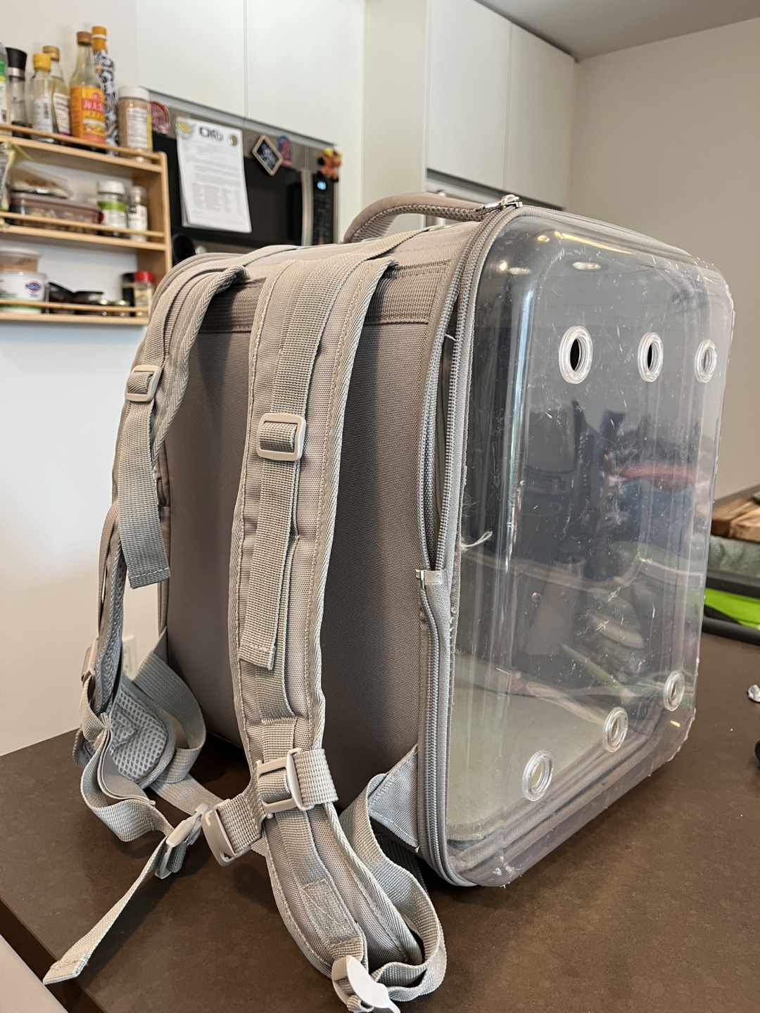 🧡 Pet Carrier Backpack - photo 2