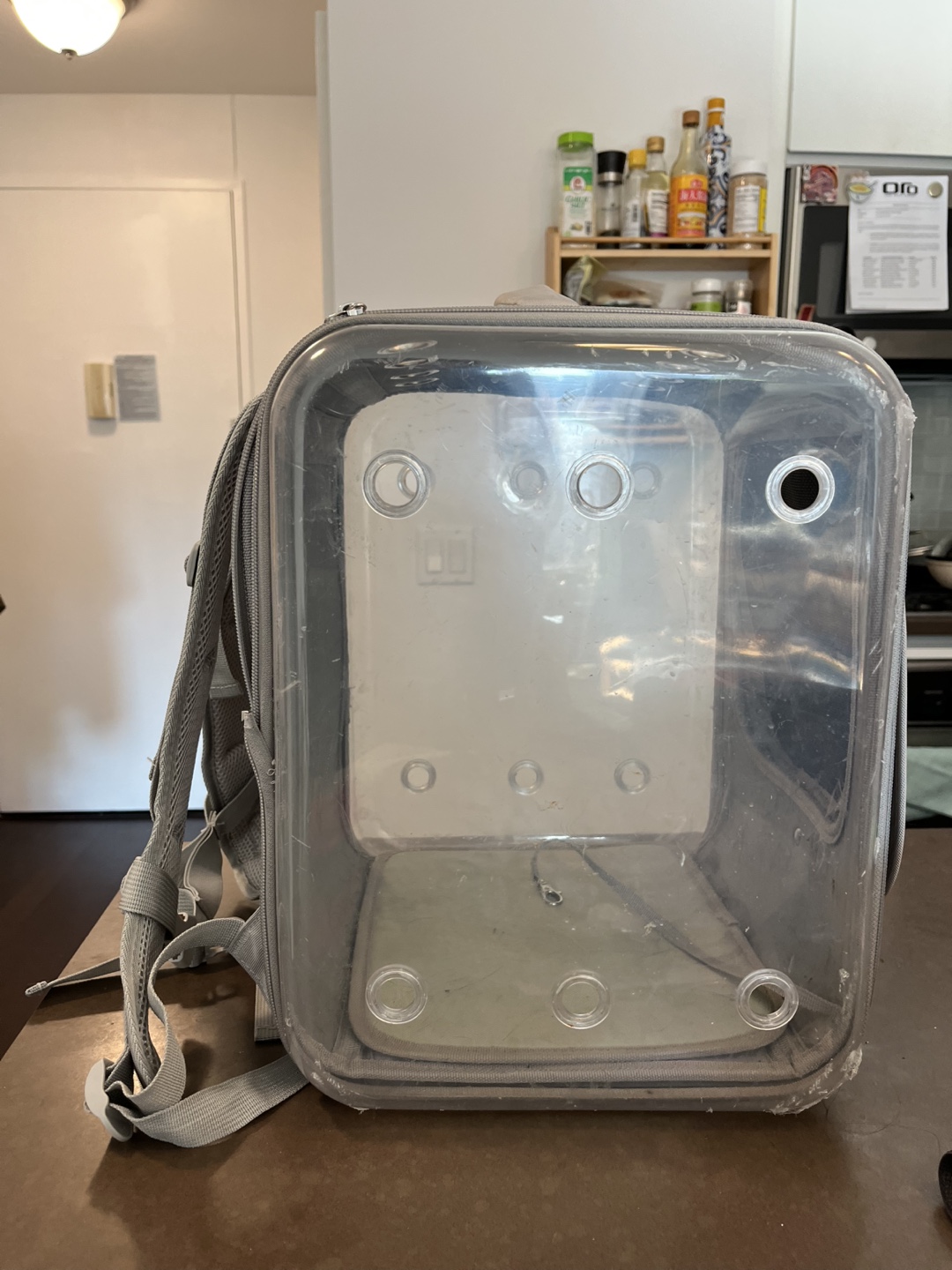 🧡 Pet Carrier Backpack - photo 4