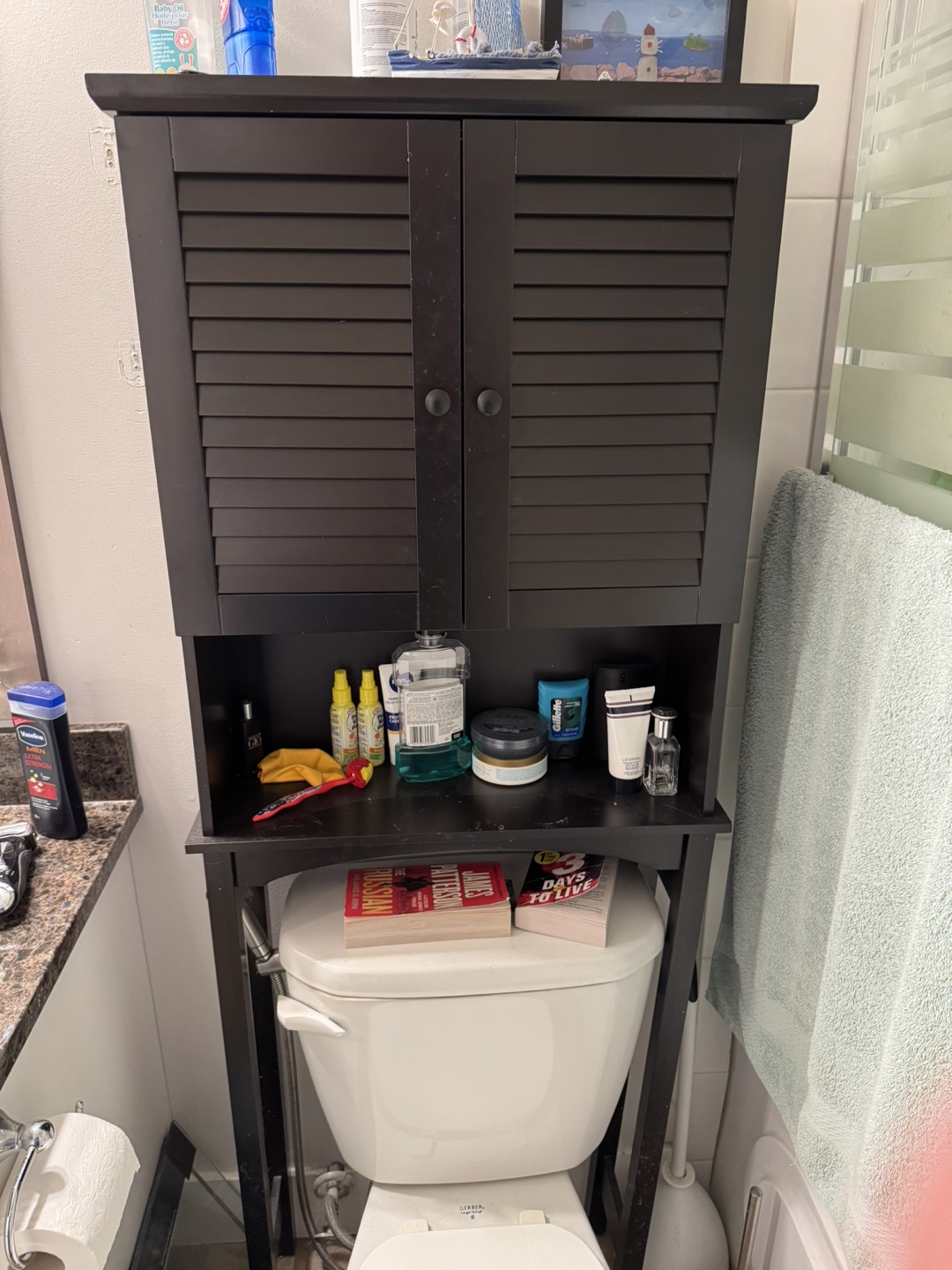 Bathroom Cabinet Over Toilet