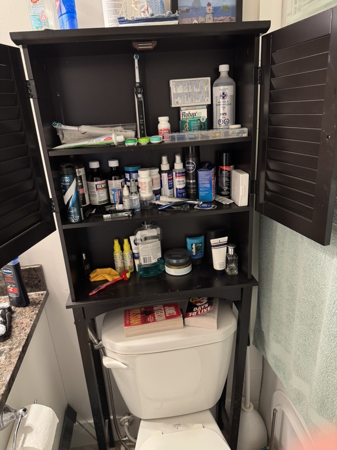 Bathroom Cabinet Over Toilet - photo 2