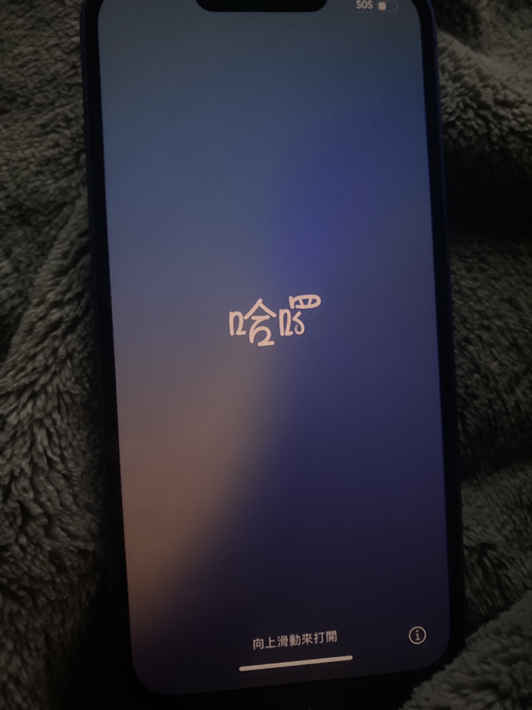 iPhone 13 Blue 64GB