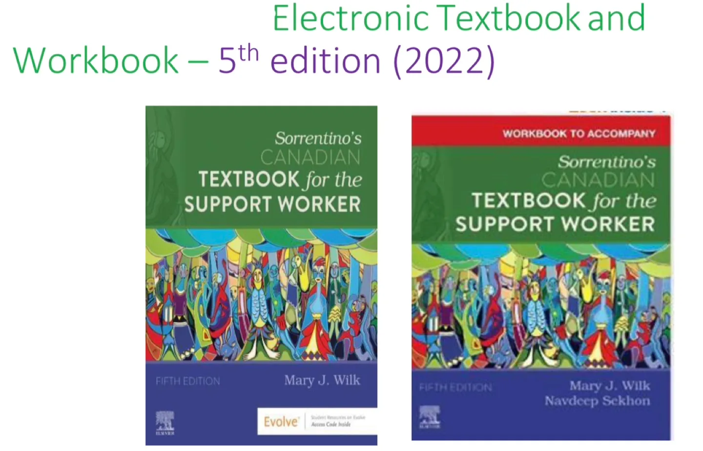 Sorrentino's Canadian Textbook for the Support Worker 5th Ed. image indicator(3)