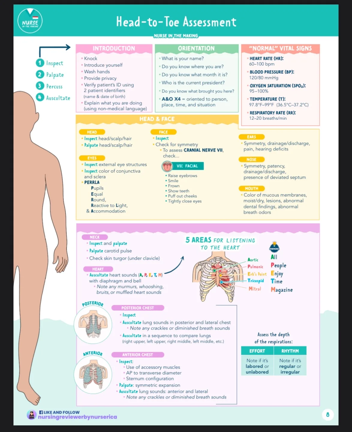 2024 Complete Nursing School Bundle Study Guide image indicator(5)