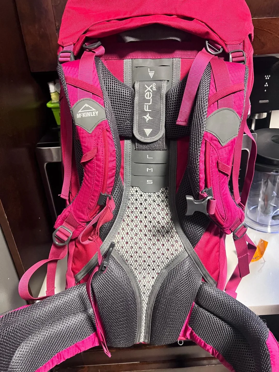 McKINLEY Women's Hiking Backpack -  Pink, Size M image indicator(4)